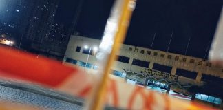逸園狗場格力犬減至449隻 60多隻已被送美加各地領養