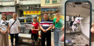 澳門馬會前員工發聯署憂三儀仗馬人道毀滅 市署稱將運外地照顧 澳門馬會前員工發聯署憂三儀仗馬人道毀滅 市署稱將運外地照顧