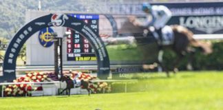 馬會年度賽馬總投注額1361億跌逾3% 足球博彩新高破1600億 馬會年度賽馬總投注額1361億跌逾3% 足球博彩新高破1600億
