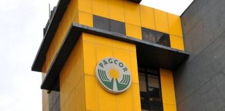 菲國上半年賭收創新高 PAGCOR同期淨收入大增六成四 菲國上半年賭收創新高 PAGCOR同期淨收入大增六成四