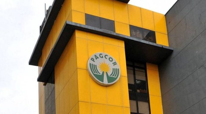 菲國上半年賭收創新高 PAGCOR同期淨收入大增六成四 菲國上半年賭收創新高 PAGCOR同期淨收入大增六成四