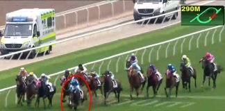 沙田日馬1.7倍大熱「幸運奇兵」直路失蹄 左前腳重傷人道處理 沙田日馬1.7倍大熱「幸運奇兵」直路失蹄 左前腳重傷人道處理