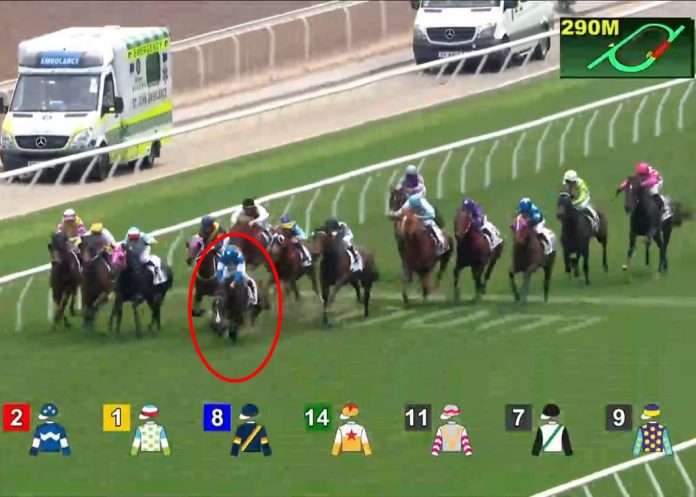 沙田日馬1.7倍大熱「幸運奇兵」直路失蹄 左前腳重傷人道處理 沙田日馬1.7倍大熱「幸運奇兵」直路失蹄 左前腳重傷人道處理