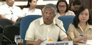 菲國PAGCOR半年總營收大跌26.6% 預計全年收入下滑一成八 菲國PAGCOR半年總營收大跌26.6% 預計全年收入下滑一成八